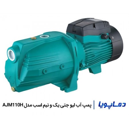 مشخصات و قیمت پمپ آب جتی لیو مدل AJM110H