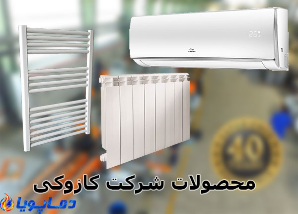 شرکت کازوکی
