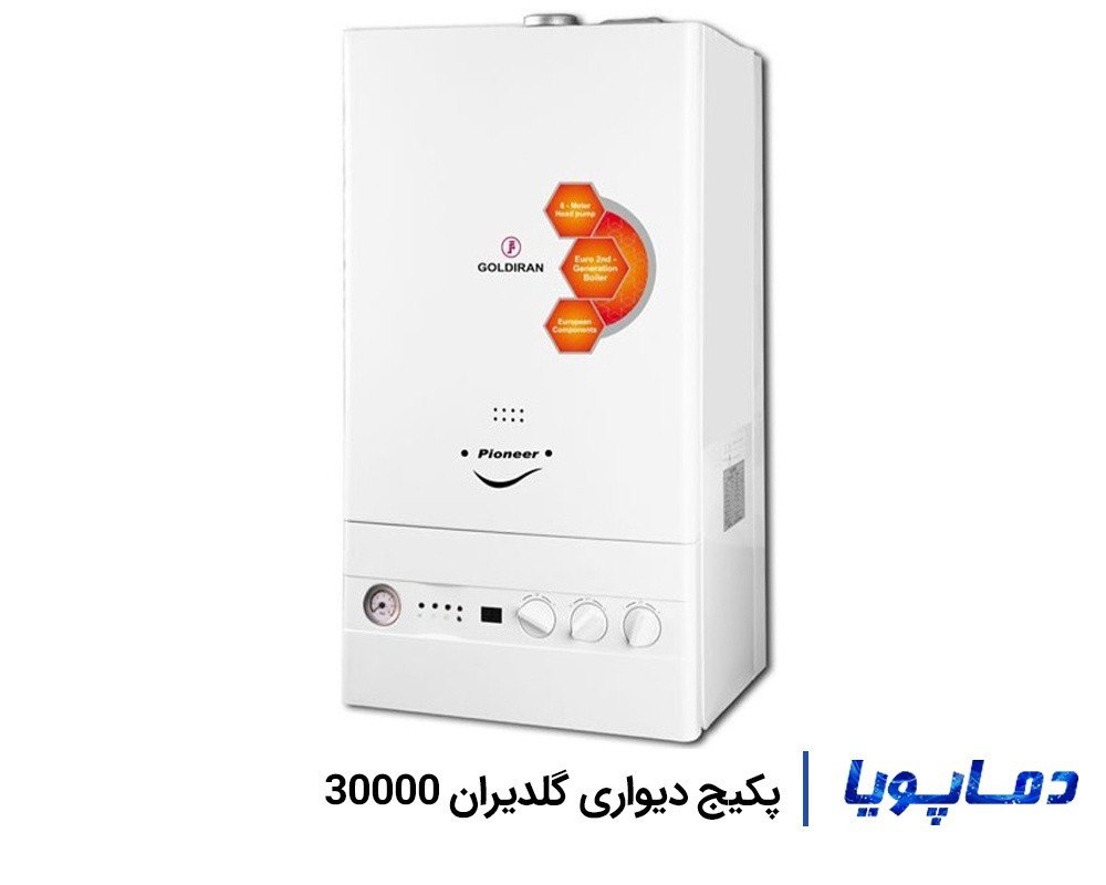 خرید پکیج دیواری 30000 گلدیران P302FW با تخفیف ویژه