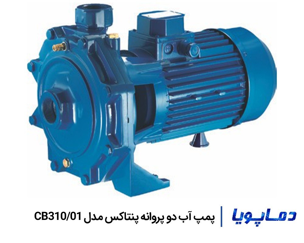 قیمت پمپ آب خانگی دو پروانه سه اسب CB310/01 پنتاکس