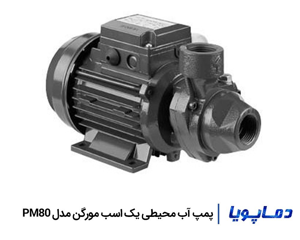 قيمت پمپ آب خانگی محیطی مورگن PM80