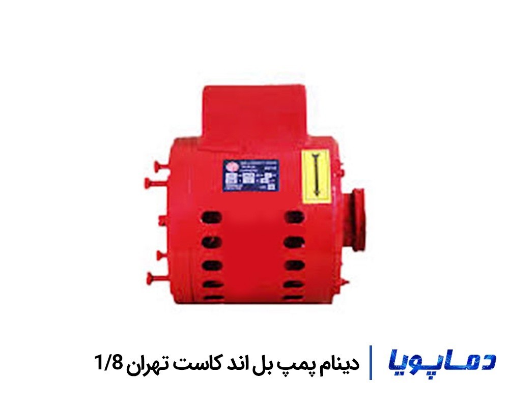 خرید و قیمت دینام پمپ بل اند کاست تهران 1/8