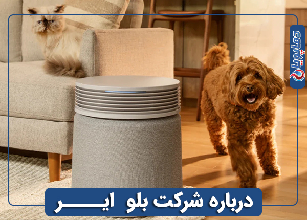 درباره شرکت بلو ایر